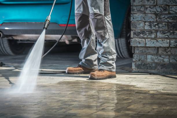 Best Driveway Pressure Washing  in Greybull, WY